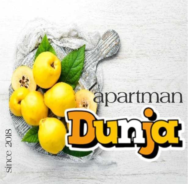 Apartman Dunja Вране Экстерьер фото